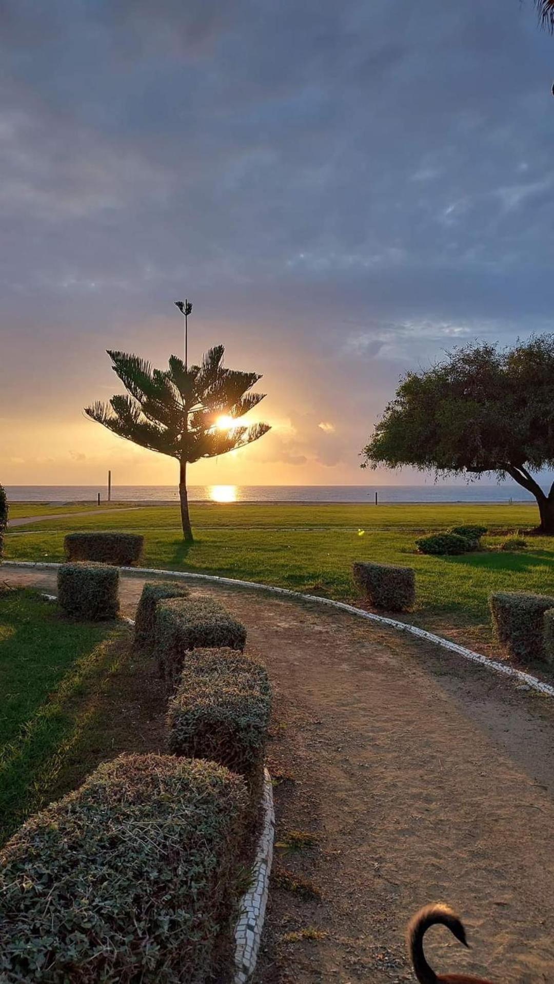 Apartamento Magic World Nueva Marina D'Or 2 Dormitorios Edificio Torremar Oropesa del Mar Exteriér fotografie